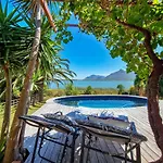 Flamingo View