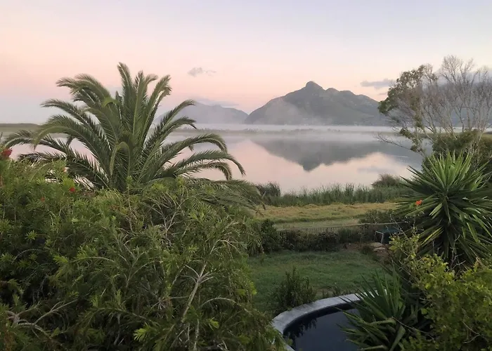 Flamingo View