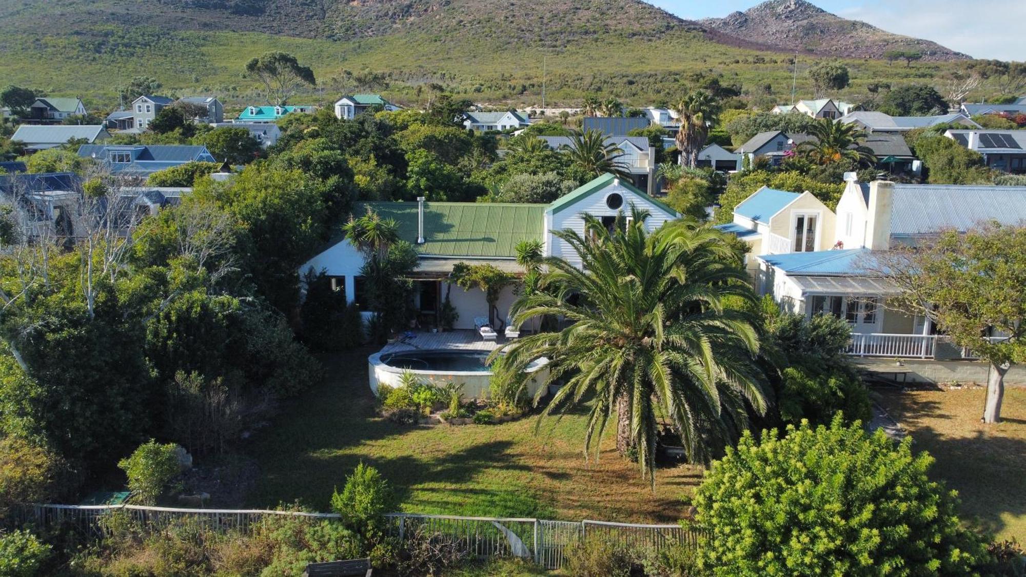 Flamingo View