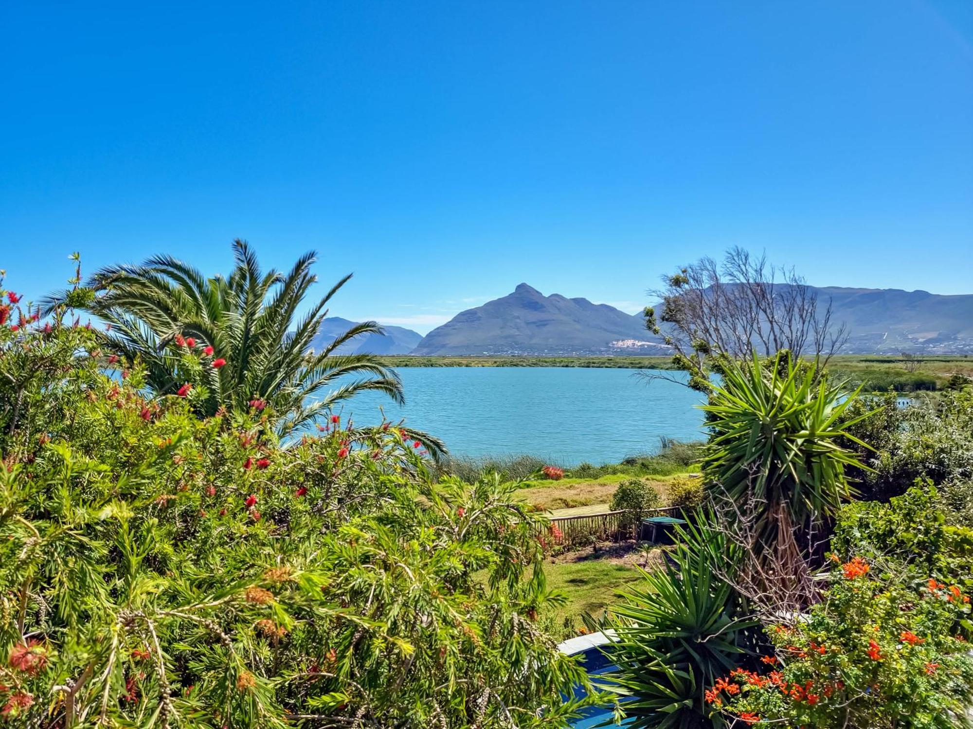 Flamingo View Cape Town