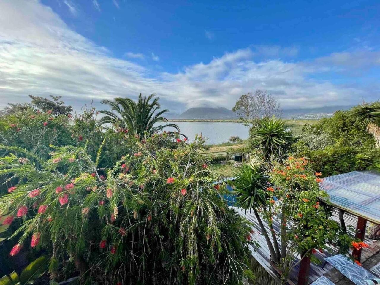 Flamingo View * Cape Town