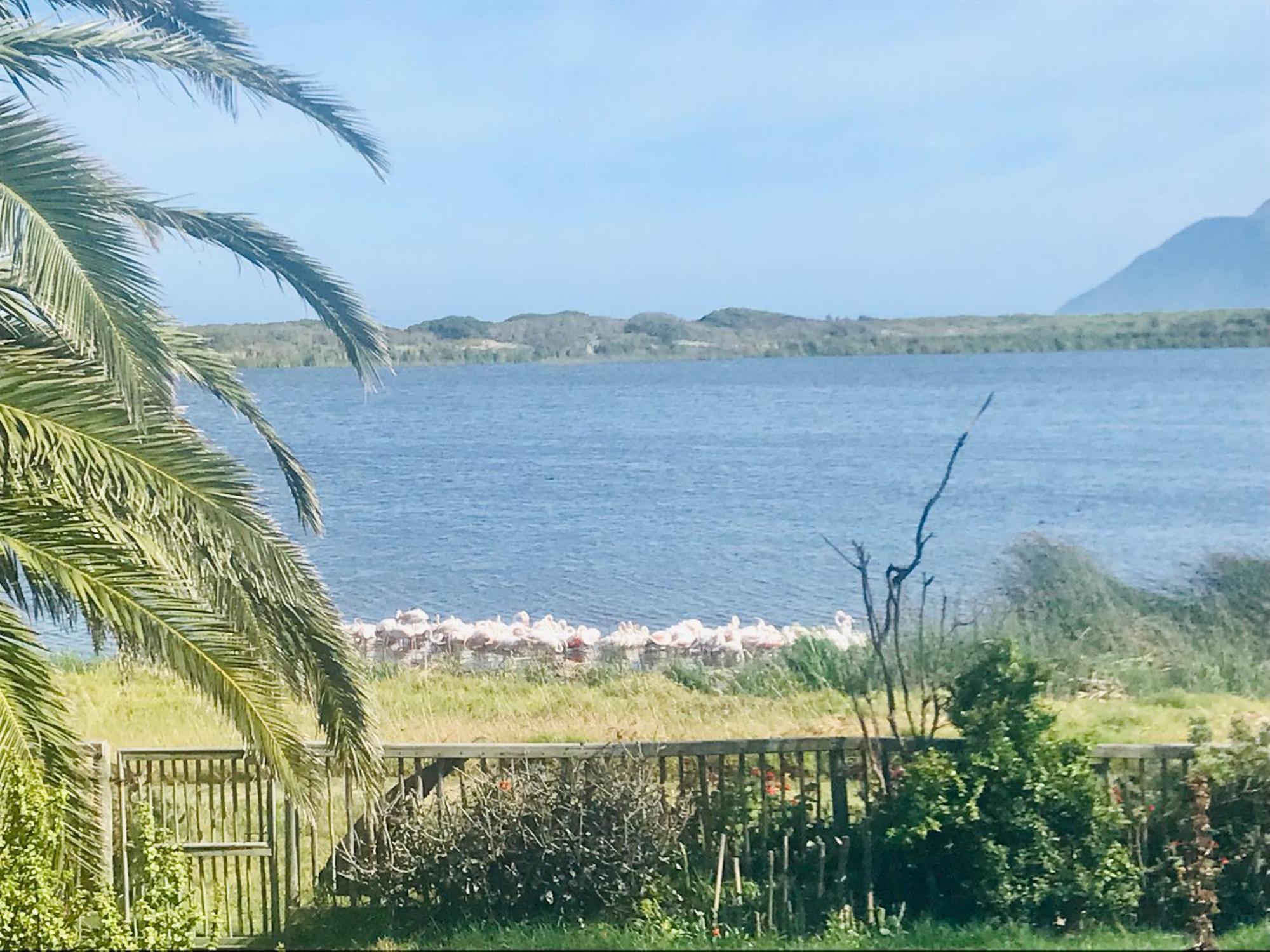Flamingo View Apartment *