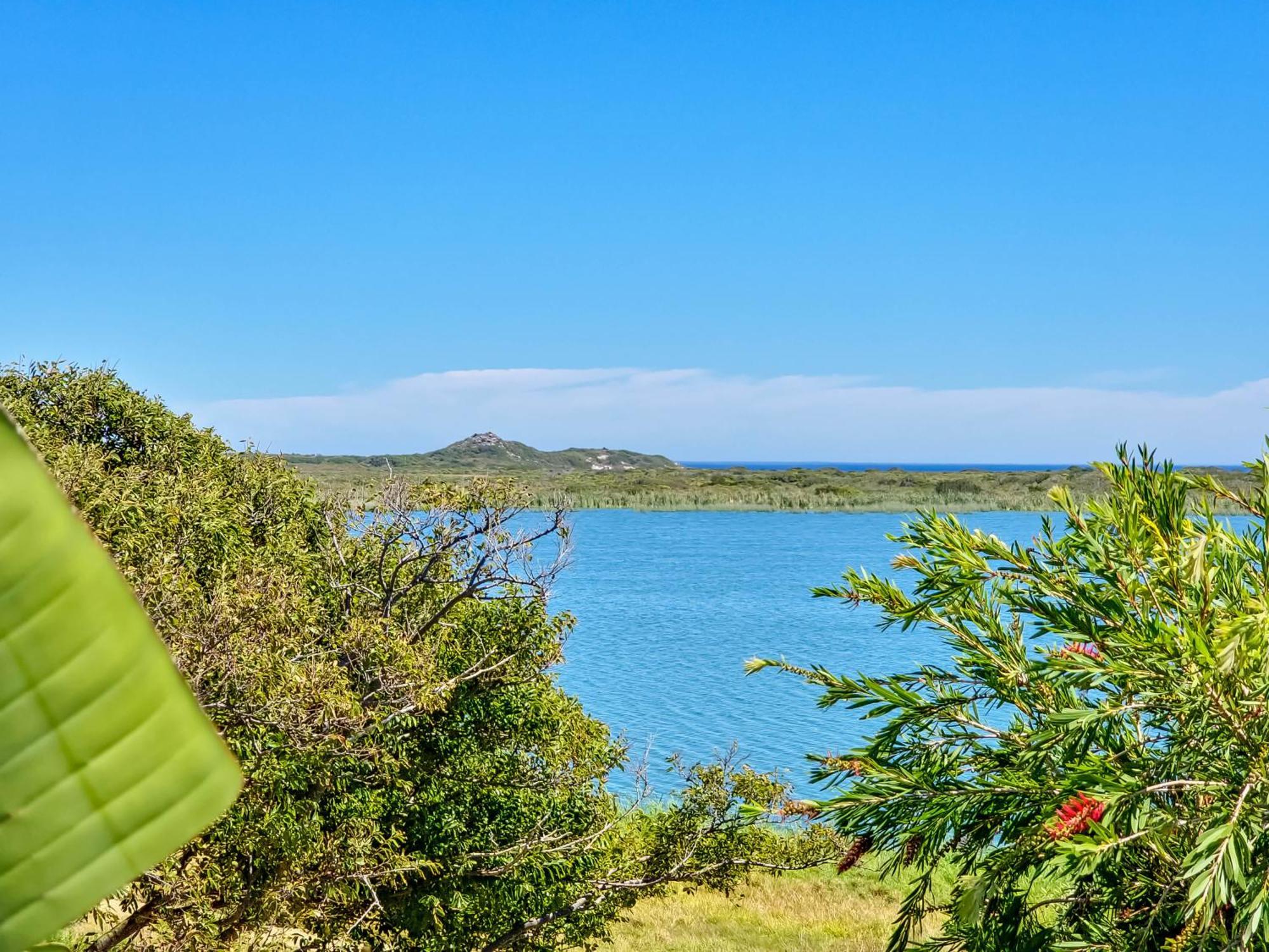 Flamingo View Cidade Do Cabo